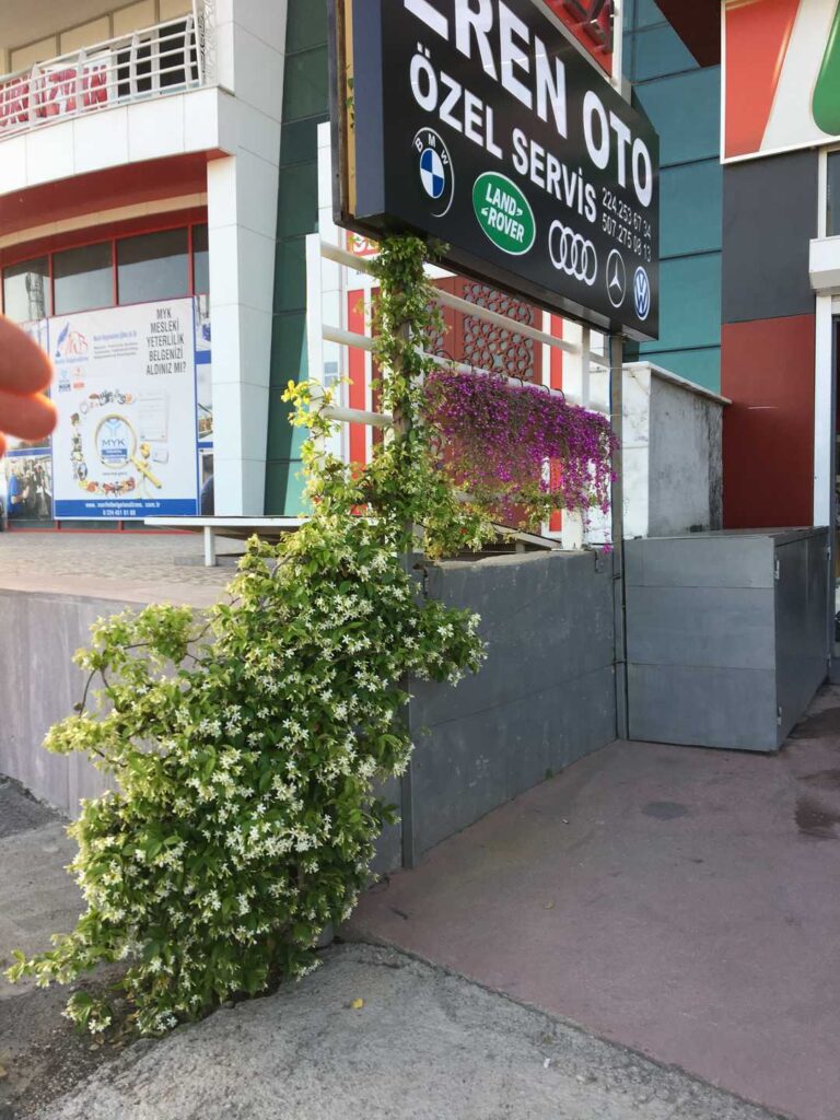 Bursa Bmw Audi Özel Servisi